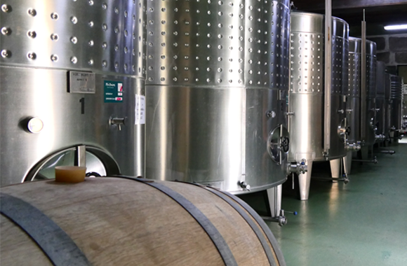 Foto Bodega 1